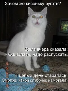 Вот он тут