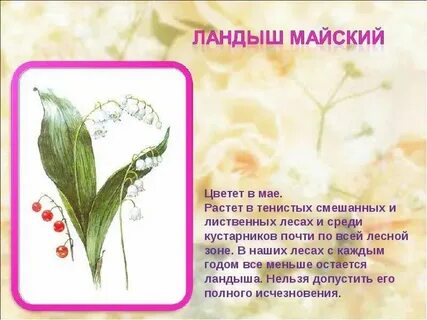Растения пермского края занесенные в красную