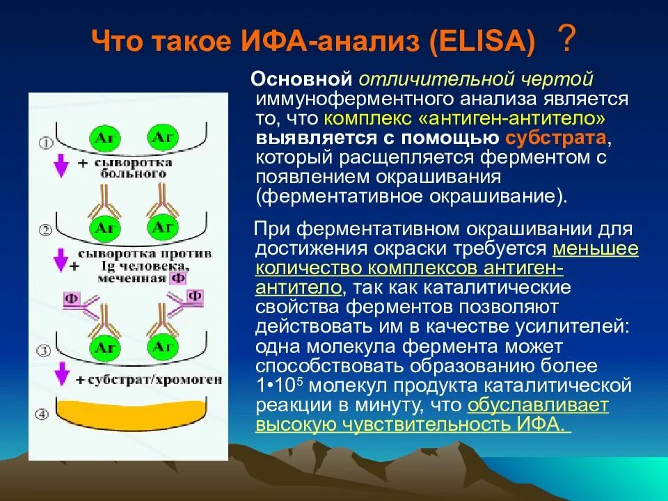 Иммуноферментный анализ механизм реакции. Основной принцип ИФА. ИФА принцип метода. Метод ИФА микробиология. Ифа качественно что это