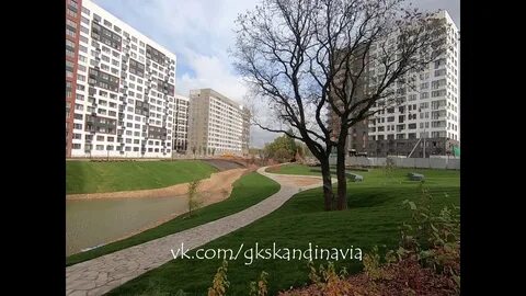 Дельта спорт коммунарка скандинавский