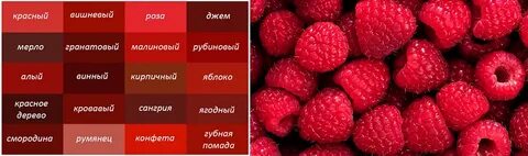 Любимый цвет ребенка красный