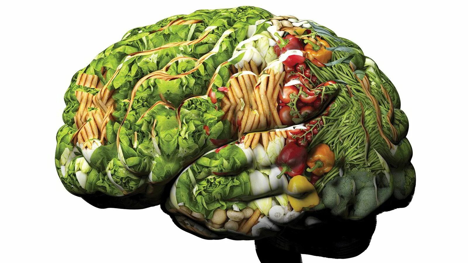 Едят ли мозг человека. Овощи для мозга. Еда для мозга. Лучшие продукты для ума.