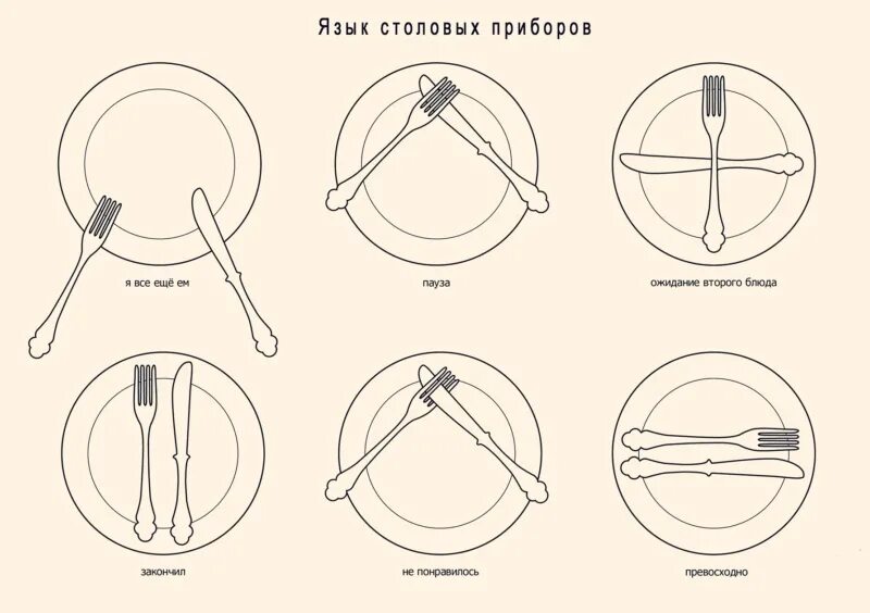 Еда понравилась приборы. Положение столовых приборов на тарелке. Позиции вилки и ножа. Положение вилки и ножа на тарелке. Язык столовых приборов на тарелке.