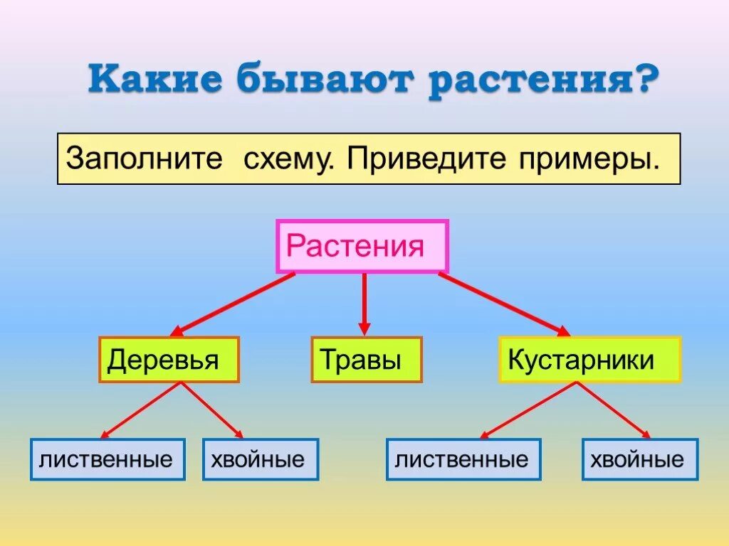 Какие. Растения бывают. Какие бывают растения. Какие бывают растения 2 класс. Какие бывают растения схема.