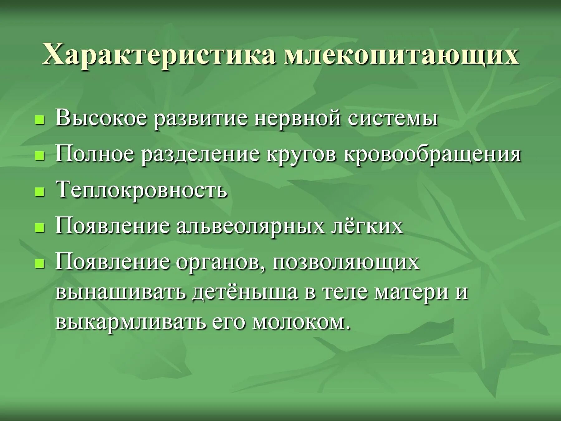 Характеристика млекопитающих. Характеристика класса млекопитающие. Млекопитающие кратко. Характеристика классамлекопитающи. Высшие млекопитающие характеристика