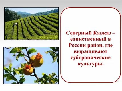 Сельхоз европейского юга