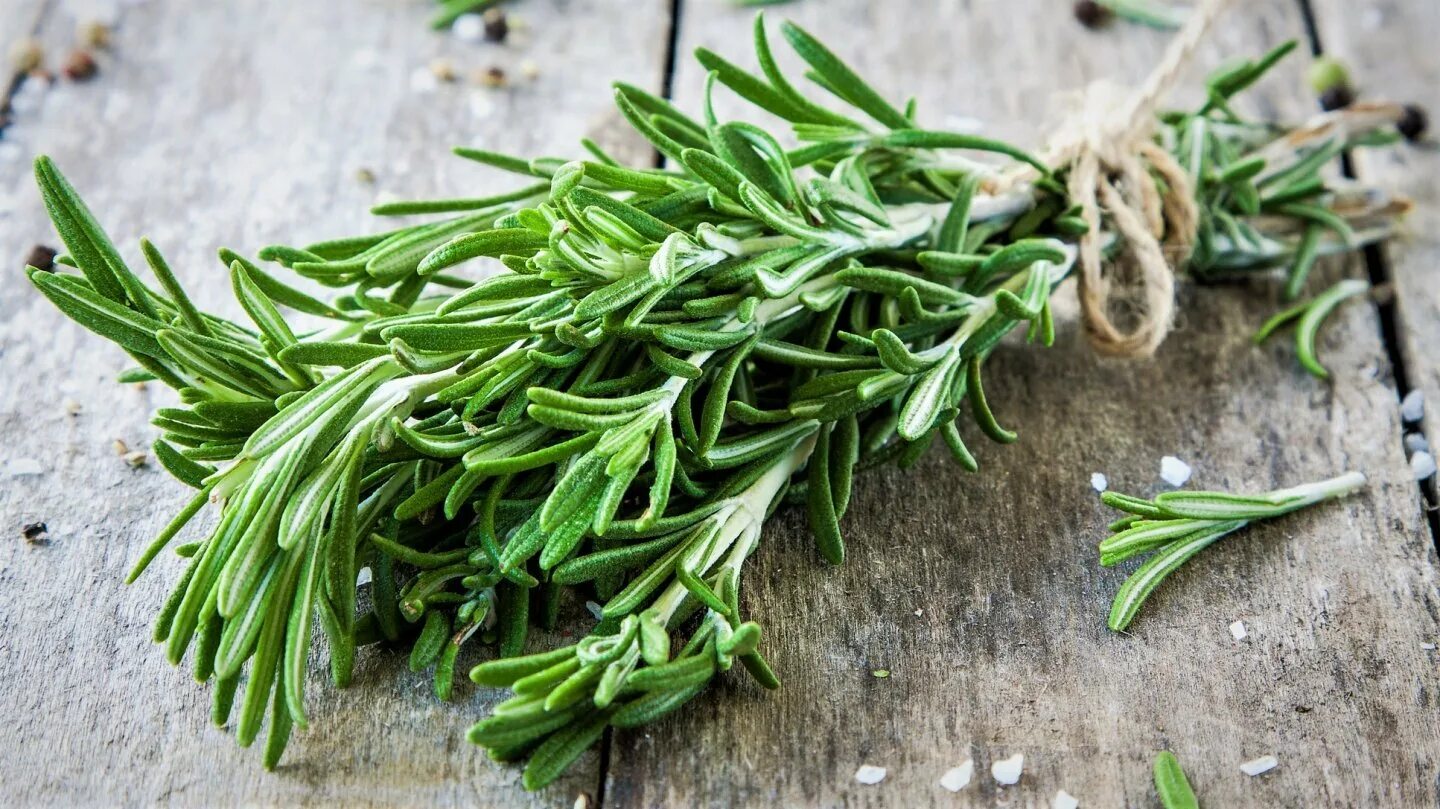 Розмарин веточка макро Rosmarinus officinalis. Розмарин перуанский. Landana розмарин. Розмарин итальянский.