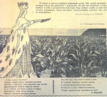 Царица спорта 10