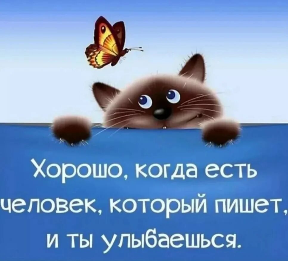 Хорошего дня шутки. Открытки для поднятия настроения. открытки для поднятия настроения мужчине. высказывания про настроен. высказывания про настроение.