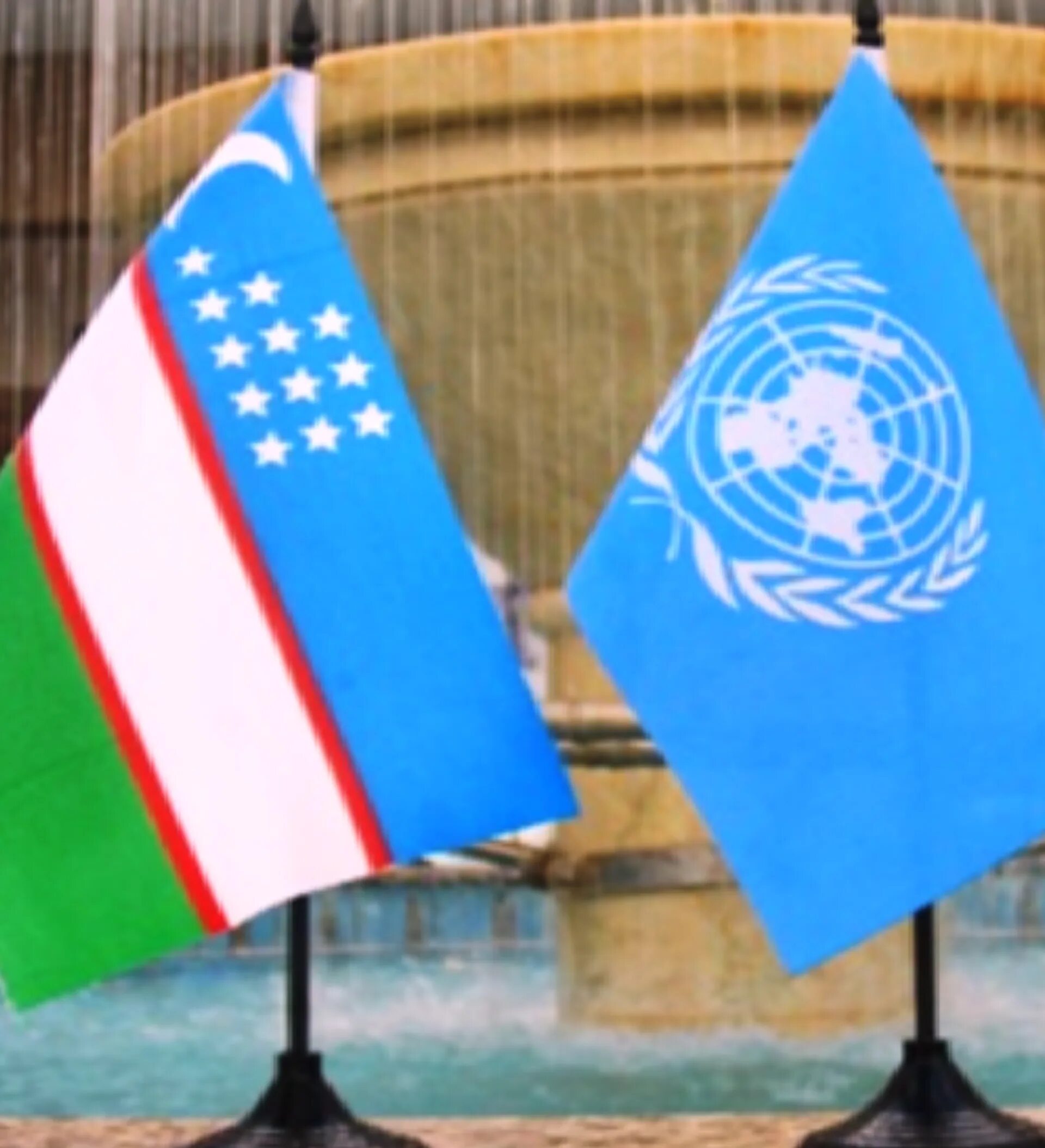 Оон отметил. ООН Узбекистан. Вступление Узбекистан в ООН. Сотрудничество Узбекистана с ООН.