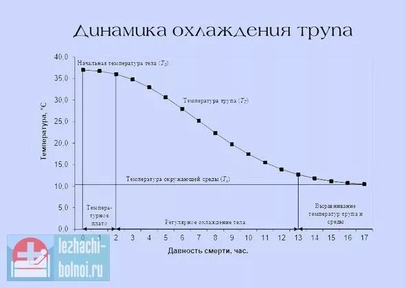 Что происходит после температуры. Температура трупа. Динамика охлаждения трупа. Температура тела покойника. Температура тела мертвого человека.