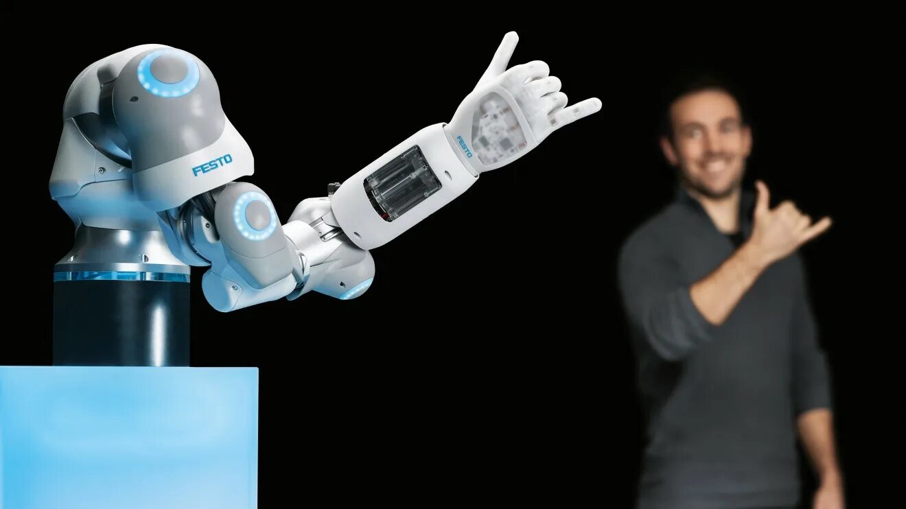 Фесто роботы. Festo рука робота. Festo Bionic Robots. Бионическая рука Фесто.