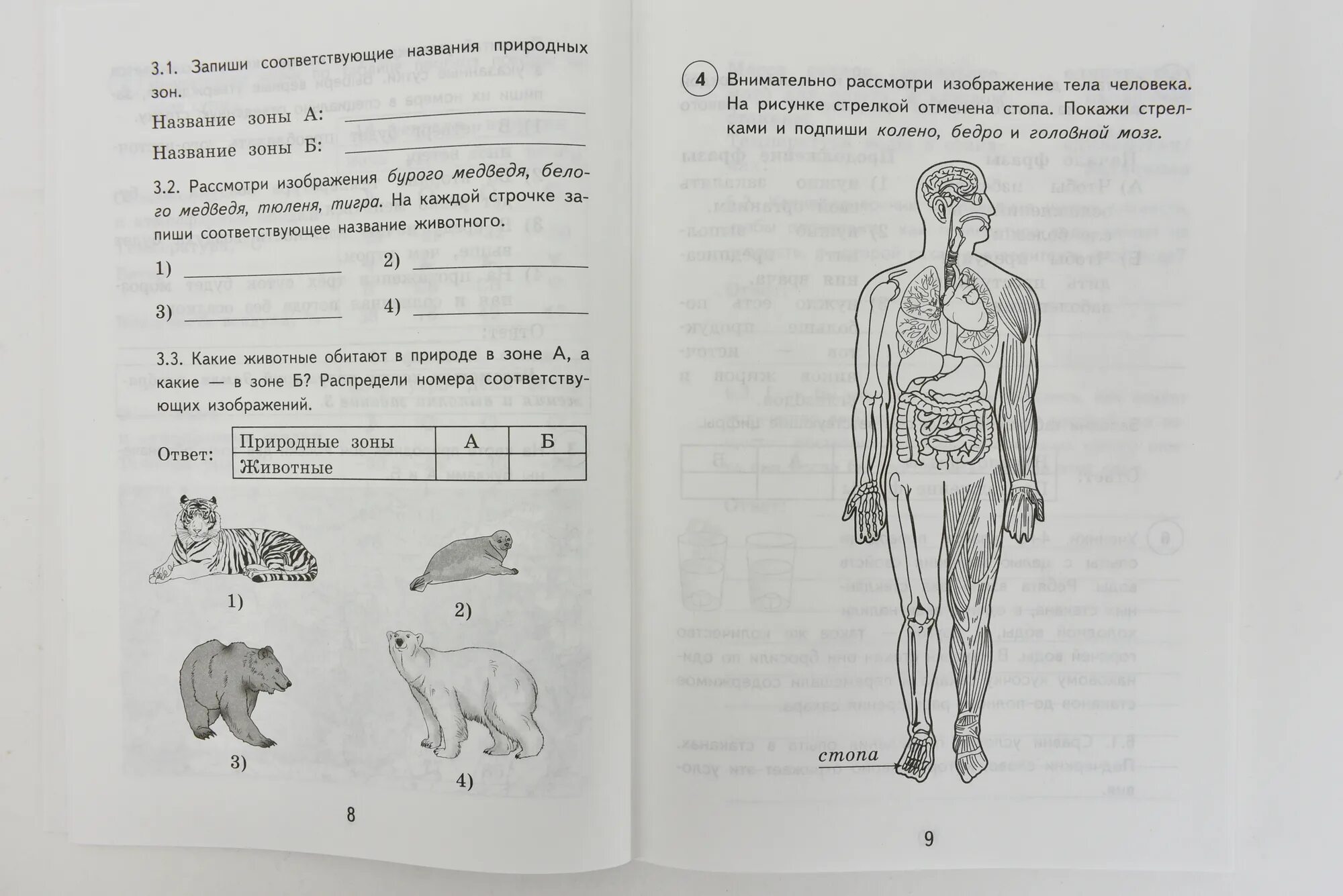 Впр четвертый вариант. Волкова ВПР окружающий мир типовые задания. ВПР типовые задания 4 класс окружающий мир Волкова Цитович ответы. ВПР 4 класс 2022 окружающий мир Волкова Цитович 8 вариантов. ВПР по окружающему миру ( е. в. Волкова, 4 класс, 10 вариантов)..