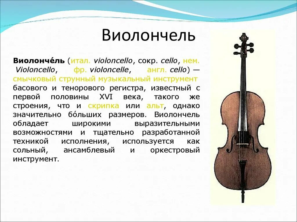 Сообщение о струнно смычковых инструментах. Виолончель музыкальный инструмент. Струнные инструменты виолончель. Информация о струнных инструментах. Скрипка частоты