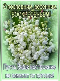 Последнее воскресение день воскресение