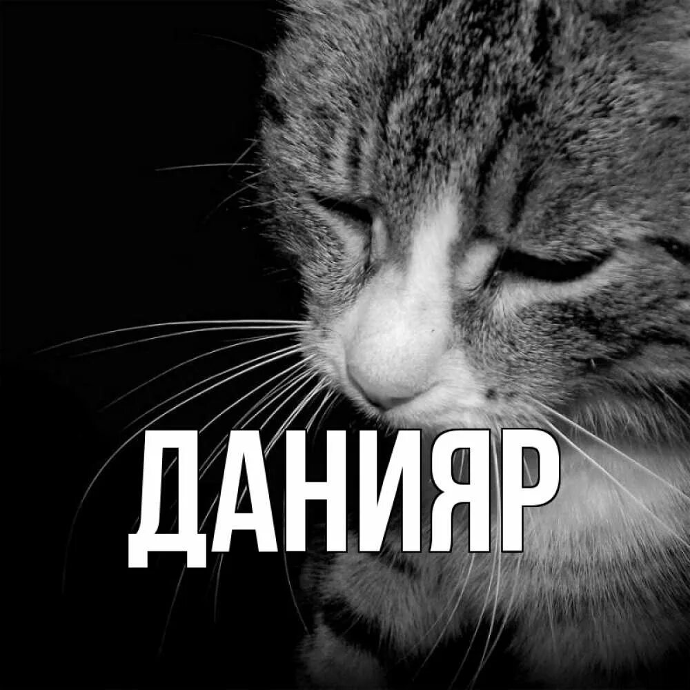 Данияр все было круто. Данияр картинки. данияр имя. данияр открытки. надпись данияр с днем.