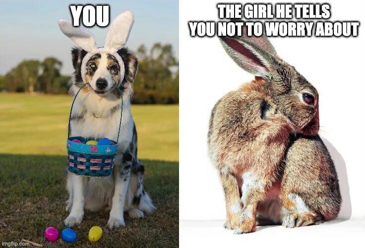 Rabbit memes. Кролик Питер Мем. Кролик Мем. Мем наше с кроликом. Кролик смеётся Мем.