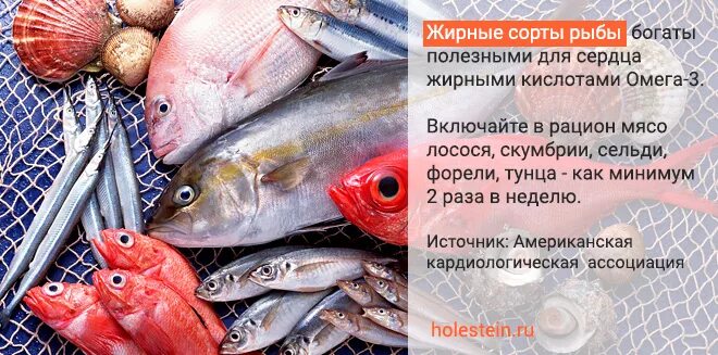 Рыба от холестерина. Какую рыбу можно есть при повышенном холестерине. Рыба при высоком холестерине. Жирные сорта рыбы. Какую рыбу можно при холестерине