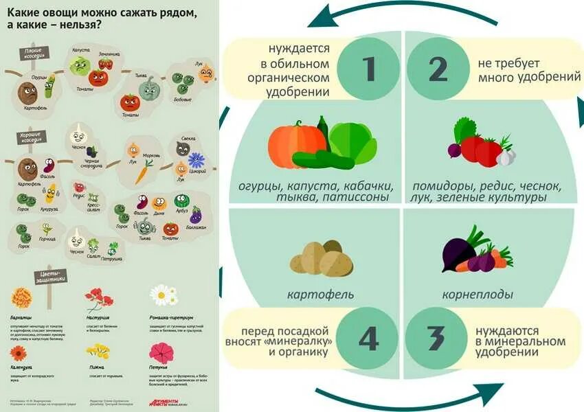 Что посадить после кабачков на следующий. Что можно посадить после. после чего нельзя сажать томаты. после каких овощей можно сажать томаты. после каких овощей можно садитьпоми дооры.