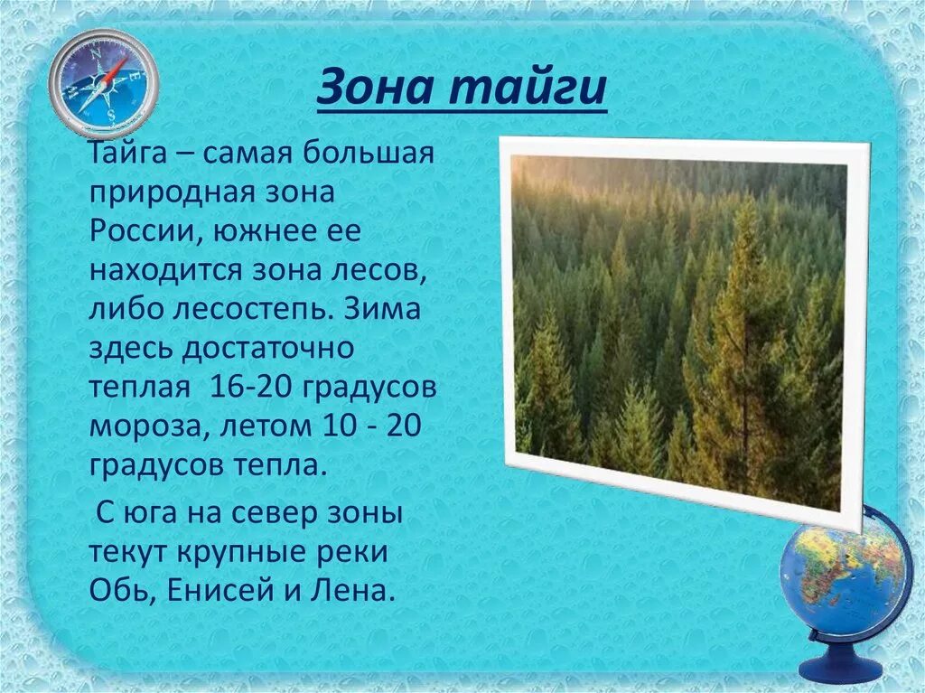 Освещенность в тайге. Природные зоны России Тайга. Природные зоны России Енисей. Климатические особенности тайги. Какой климат в природной зоне тайга