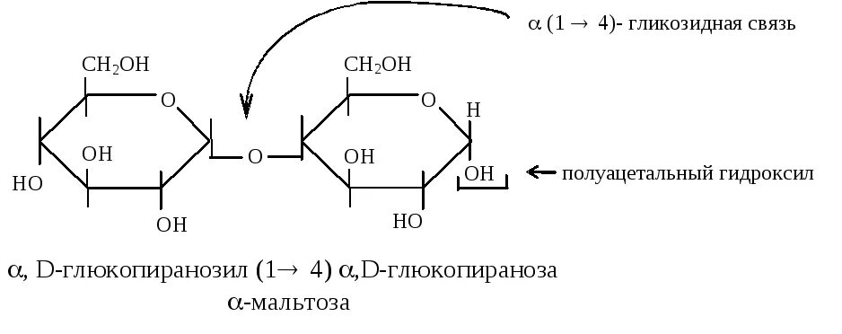 Связь 4 гликозидная. Α-1,4-гликозидные связи. Мальтоза Тип гликозидной связи. 1 4 Гликозидная связь. Гликозидная связь это биохимия.