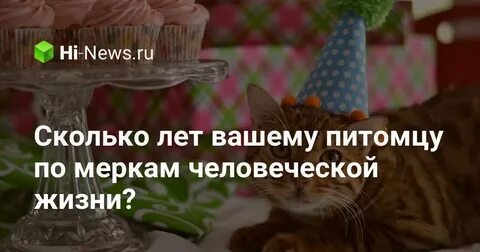 8 лет коту это сколько по человечески