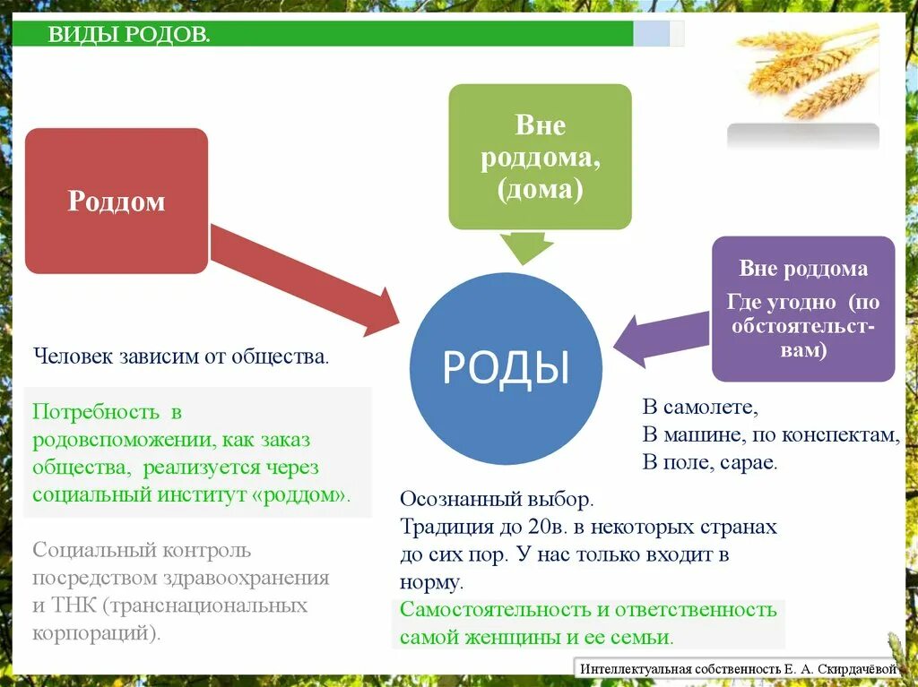 Виды рождения ребенка