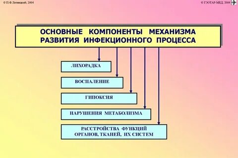 Механизм развития инфекции