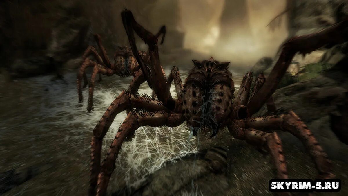 Скайрим мод пауки. Скайрим пауки. Морозные пауки skyrim. Скайрим мод пауки. Скайрим мод пауки.