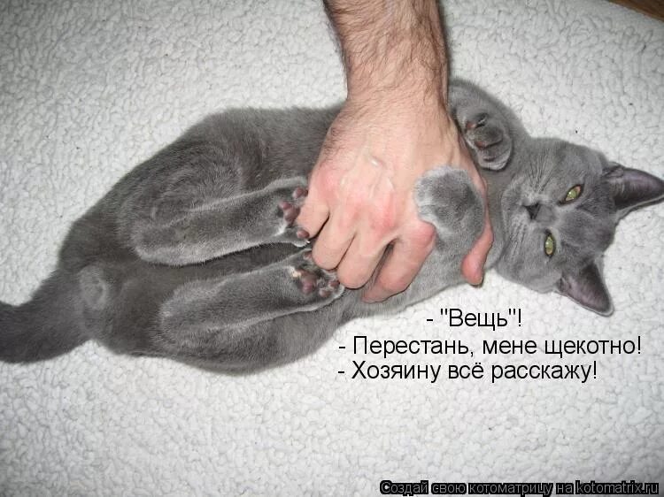 Тебе щекотно. Щикотно или щекотно. Щекотная вещь. Щекотно места