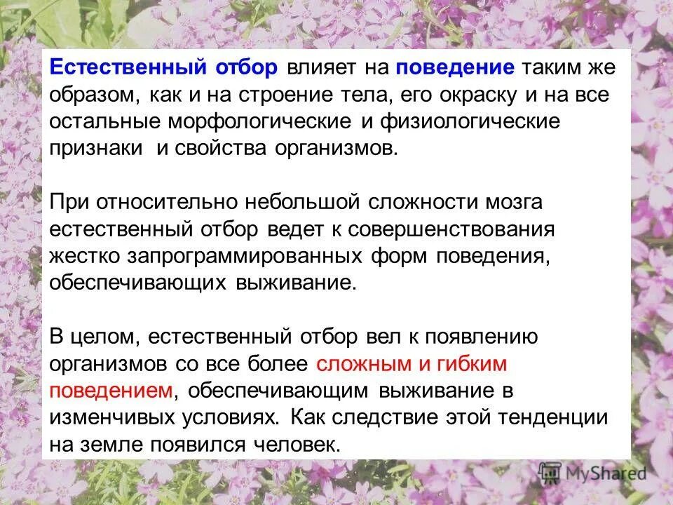 номер естественный отбор. номер естественный отбор. отбор. теория дарвина естественный отбор. как естественный отбор влияет на организм.
