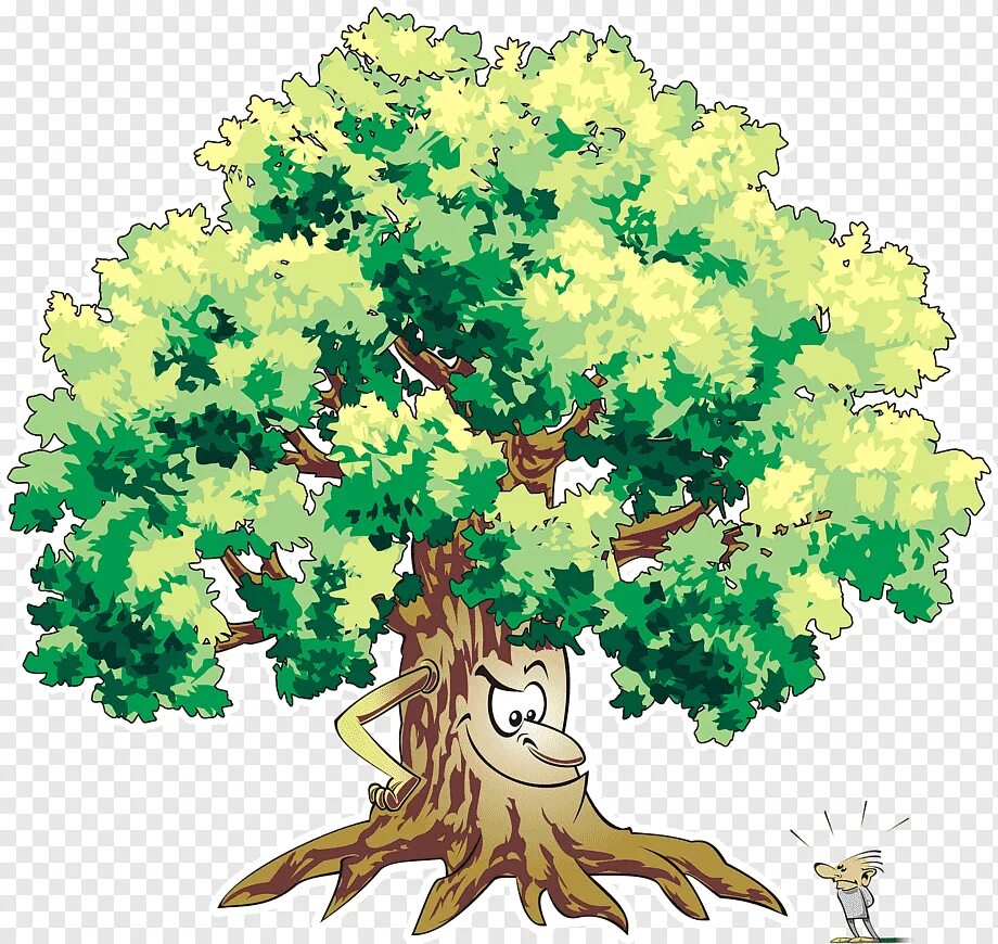Tree 00