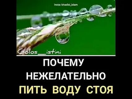 Зачем мусульманам бутылка с водой