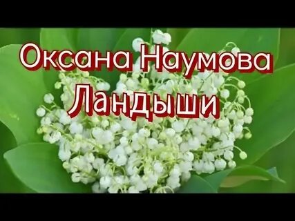 Песня я подарю тебе ландыши певец