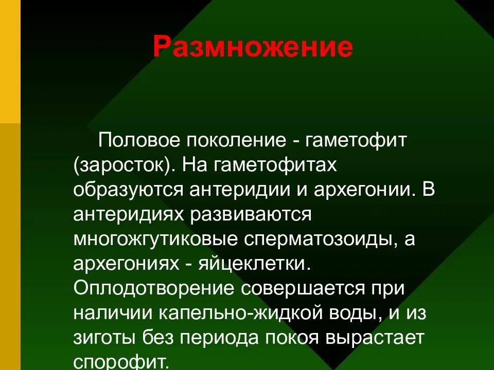 Поколение гаметофит представлено. Гаметофит половое поколение. Гаметофит это половое поколение на котором образуются. Половое поколение представлено заростком.. Что такое половое поколение в биологии.