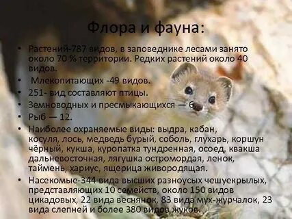 Фауна описание