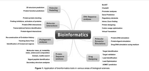 Application tools