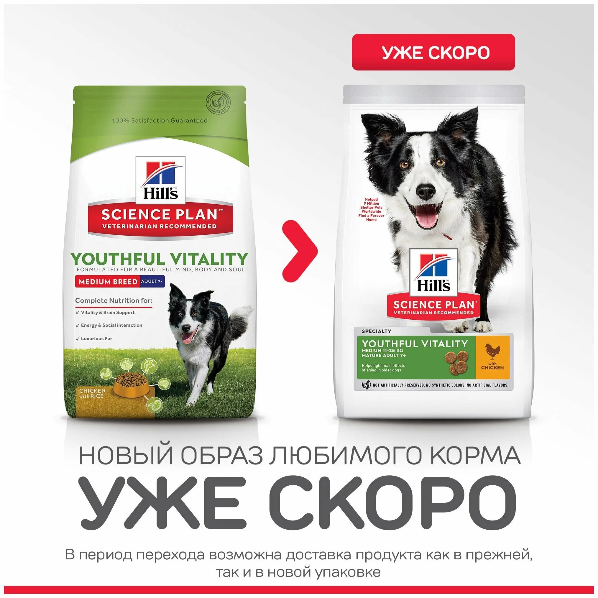 Hills youthful Vitality для собак. Корм Хиллс 7+ для собак. Сухой корм для пожилых собак 7+ Hills. Hill's Science Plan сухой корм для собак Senior Vitality. Корм для собак hills 7