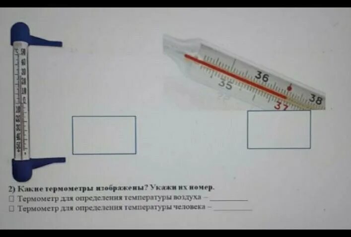 Какой градусник самый точный для измерения температуры. Термометр для определения температуры воздуха. какой термометр подходит для измерения температуры скорлупы. как определить температуру на градуснике на аквариуме. как определить температуру в аквариуме по внешнему градуснику.