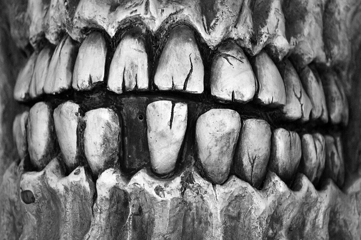 Картинка зубы человека