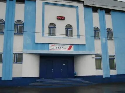 Небель иркутская