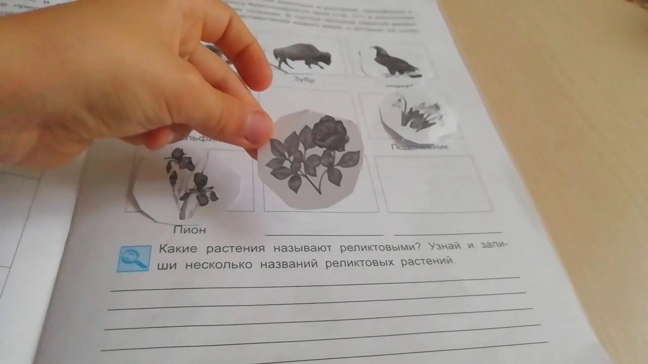 Без прошлого нет будущего кубановедение 3. Кубановедение 2 класс стр 56 рисунок. кубановедение 2 класс рабочая тетрадь ответы стр. кубановедение 2 класс стр 63. кубановедение 9 класс рабочая тетрадь.