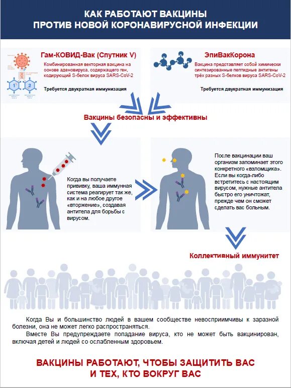 Как работает вакцина. Как работает вакцинация. Схема действия вакцины. Принцип работы вакцины.