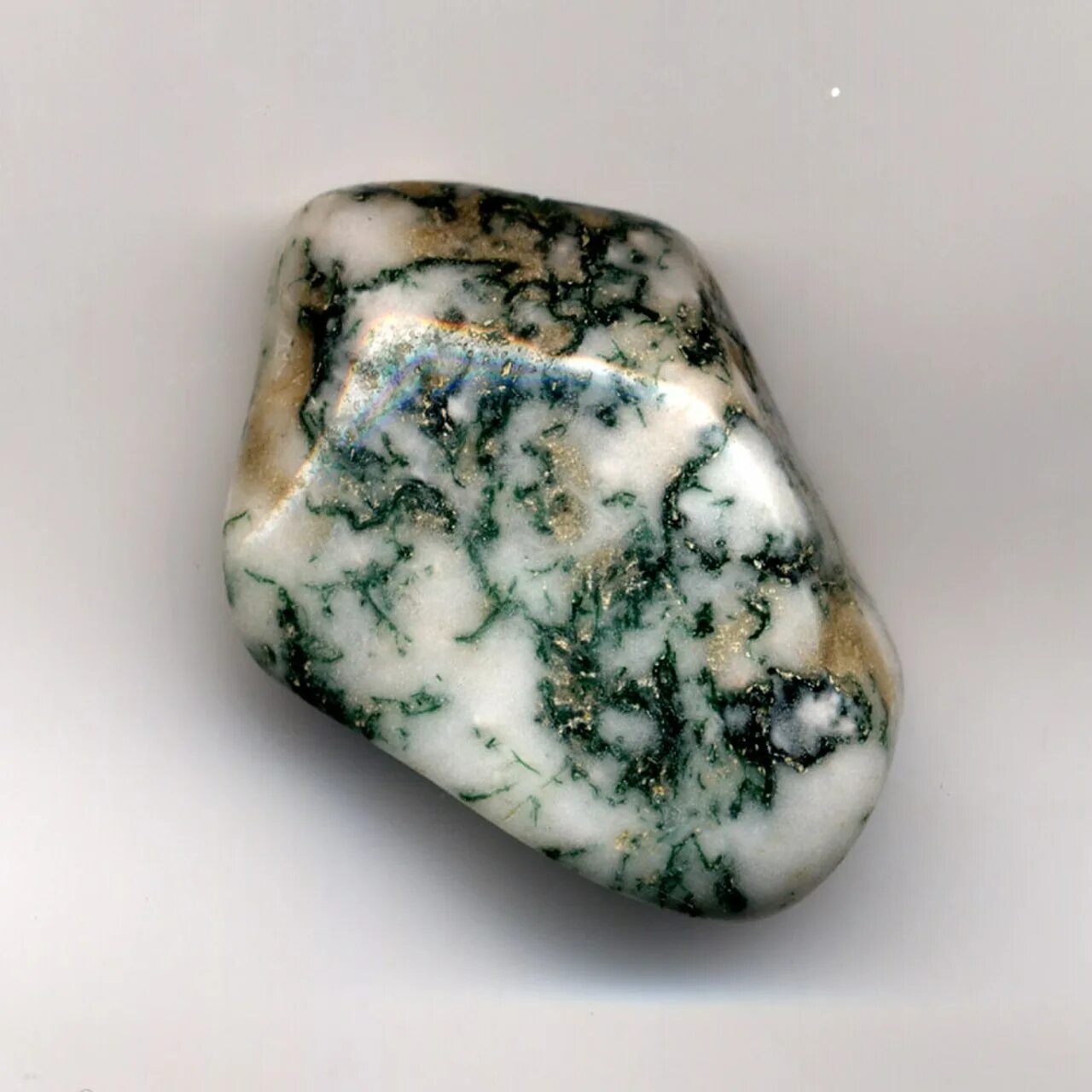 Моховый агат свойства. Moss Agate камень. Агат минерал Моховой. Моховой агат камень. Моховой агат камень зеленый.