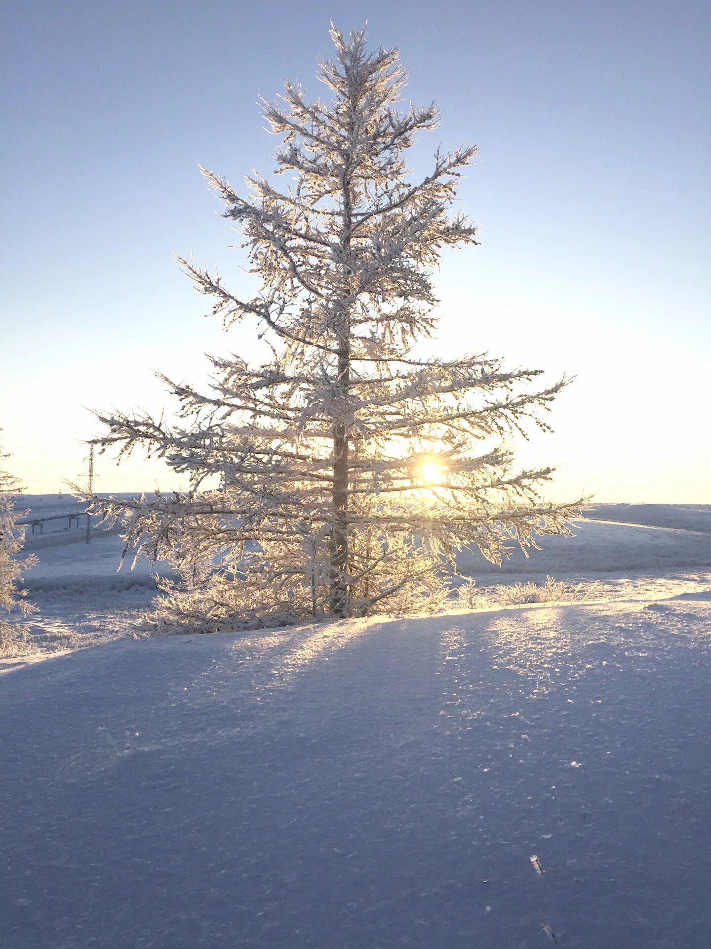 Край севера. Северное сияние в республике коми воркута. Суровый северный край. Северный пейзаж. Северный край фото.
