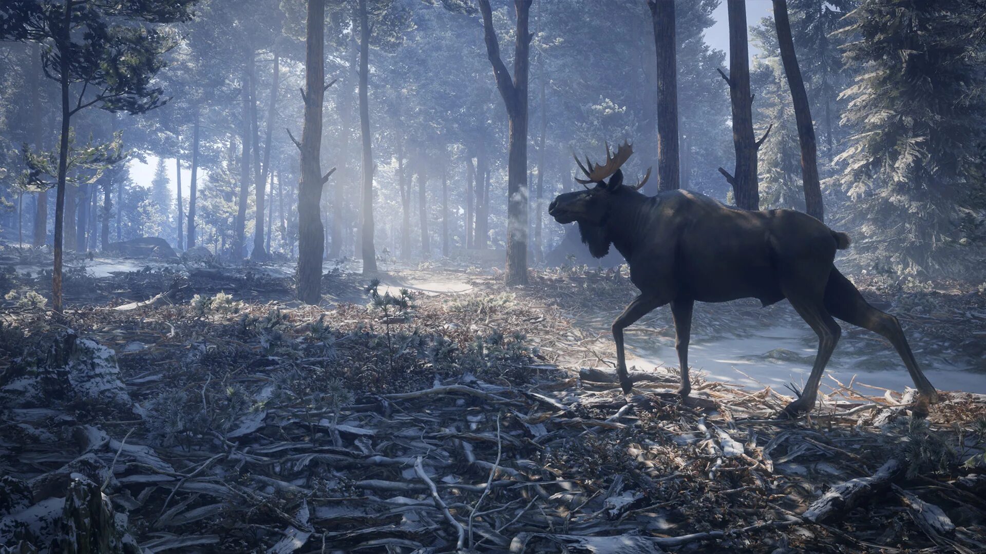 игра the hunter classic. Thehunter: call of the wild. The hunter classic the hunter classic. The hunter call of the wild 4к. The hunter call of the wild геймплей.