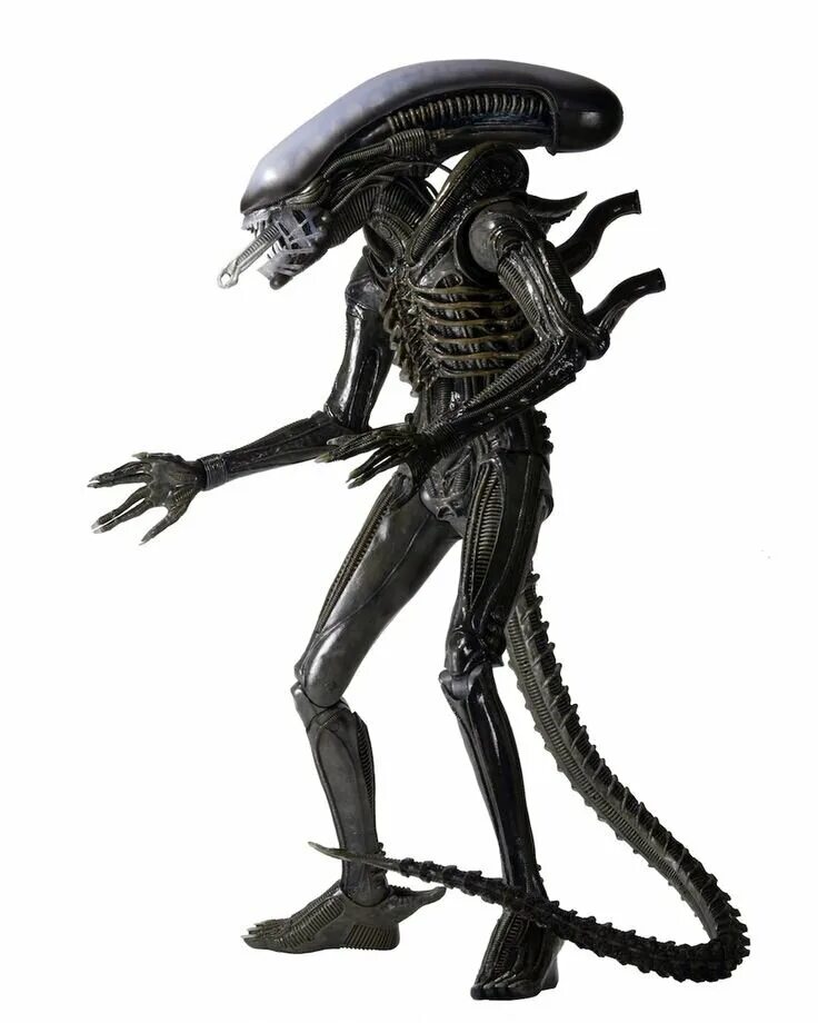 Alien isolation xenomorph 3d model. Фигурка neca dog alien. Xenomorph 1979 sideshow. Герой чужих. Ксеноморф самка.