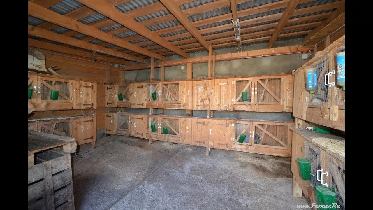 Содержание птицы на личном подворье