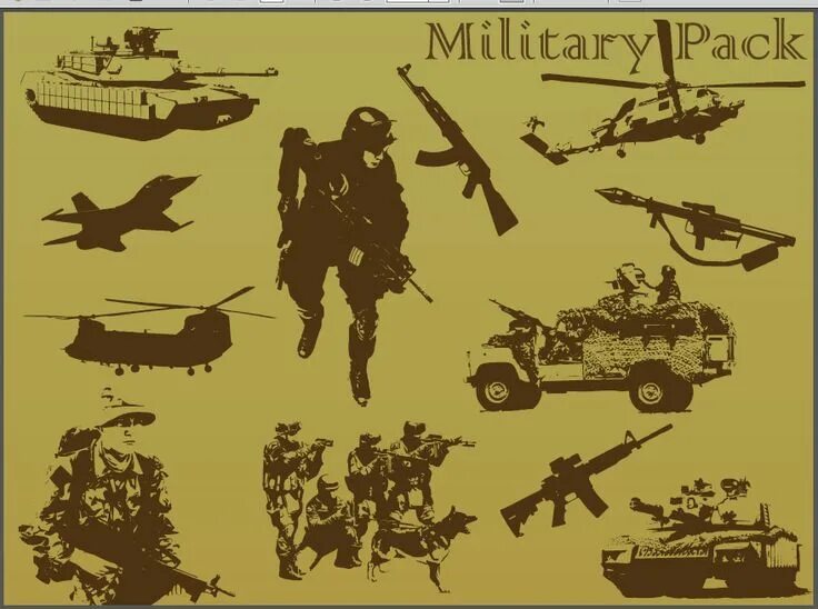 Vector military