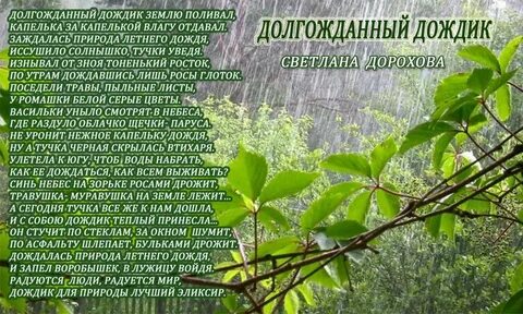 Почему называют травушка муравушка в народных песнях